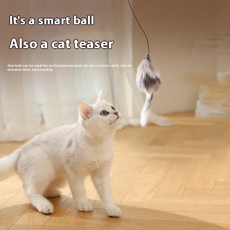 Cat Toys Mouse Teaser Ball