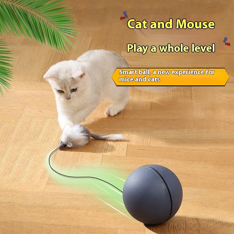 Cat Toys Mouse Teaser Ball